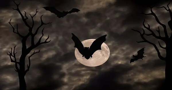 Don't Miss Out on This Weekend's Hottest North Carolina Haunted Attractions!  photo