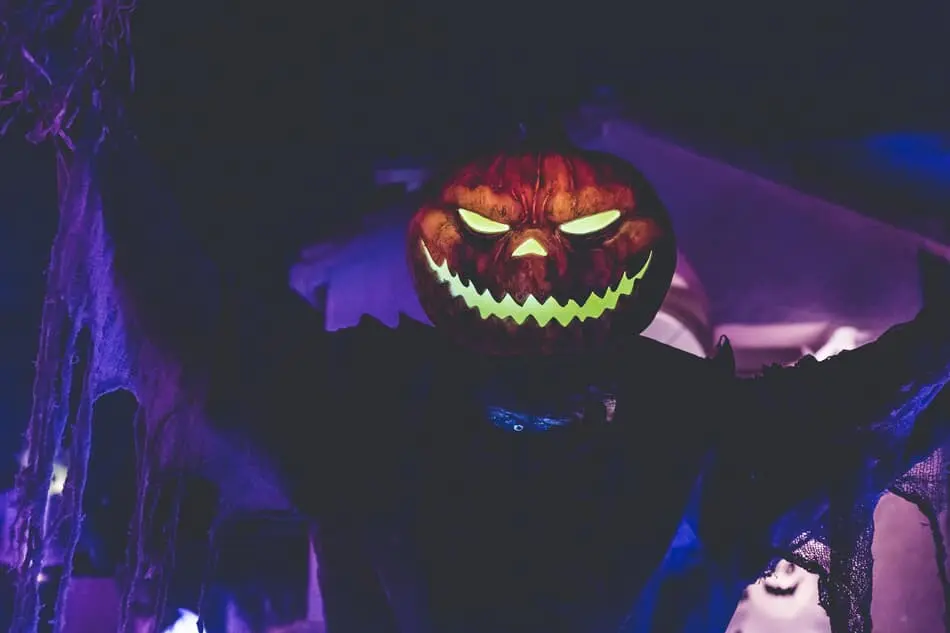 🎃NorthCarolinaHauntedHouses.com Halloween Weekend Guide: October 13-16 👻 photo