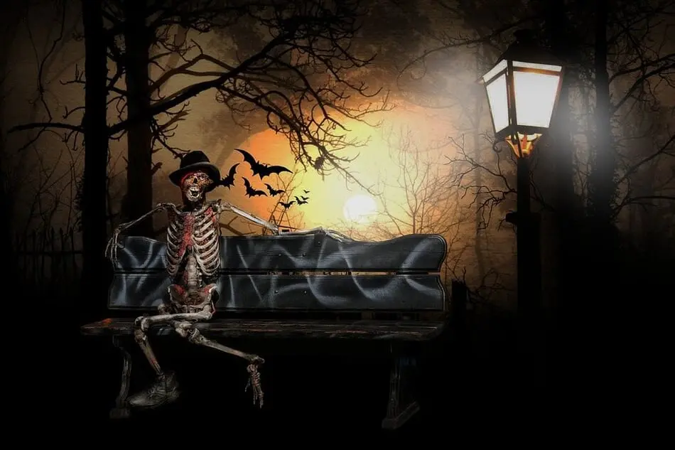 🎃 North Carolina Halloween Weekend Guide: October 17-20 🎃 photo