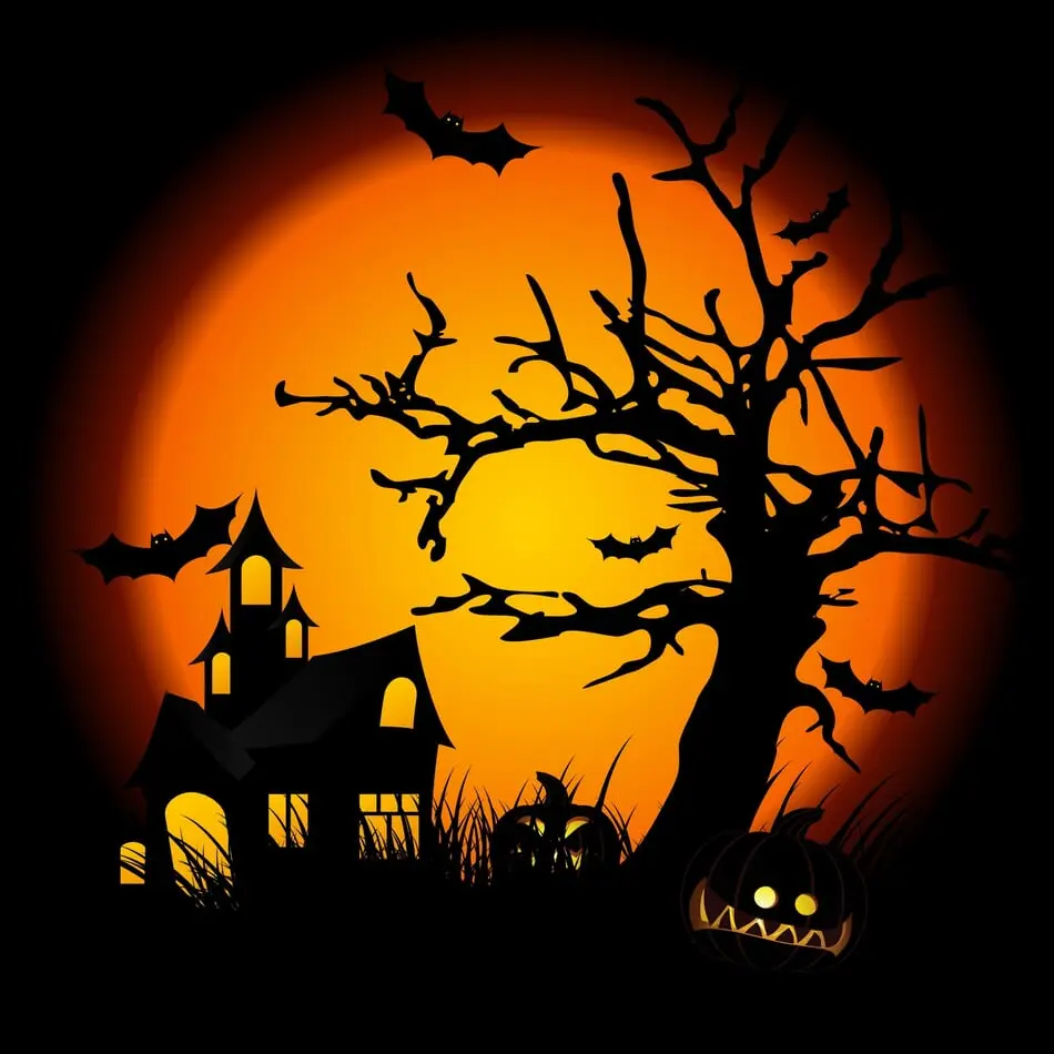 North Carolina Welcomes October with Haunted Houses, Thrills, Chills & More this Weekend! photo