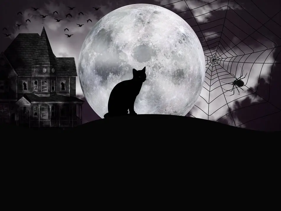 Celebrate the Arrival of October by Visiting North Carolina Haunted Attractions this Weekend! photo
