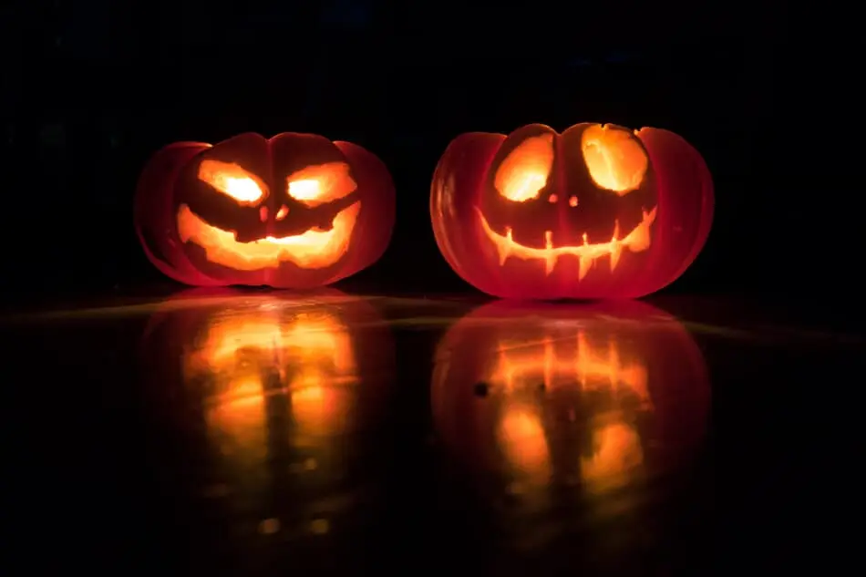 🎃 NorthCarolinaHauntedHouses.com Halloween Weekend Guide: Oct 7-9 👻 photo