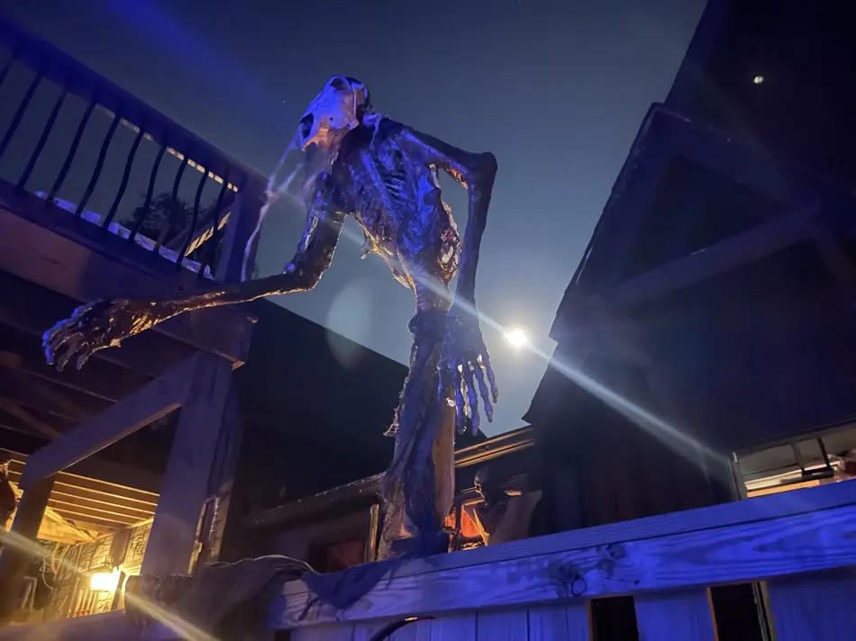 What Creatures lurk in the Village?