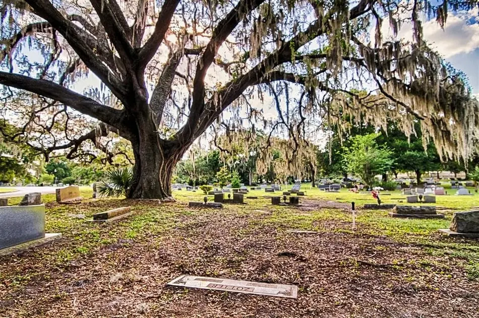 Greenwood Cemetery in Orlando is home to a tremendous amount of eerie activity, in part thanks due to the multiple child cemeteries on its premises.