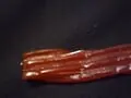 Palm Beach Police Dept Open Investigation Into Pins Found in Childrens Halloween Candy