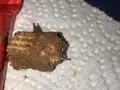 Pearl River PD Issue Urgent Alert to Parents After Needle is Found in Child's Halloween Candy