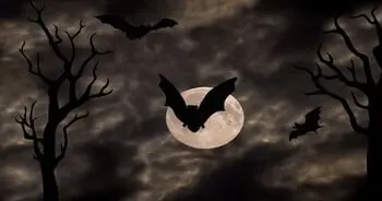 Don't Miss Out on This Weekend's Hottest Portland Haunted Attractions! 