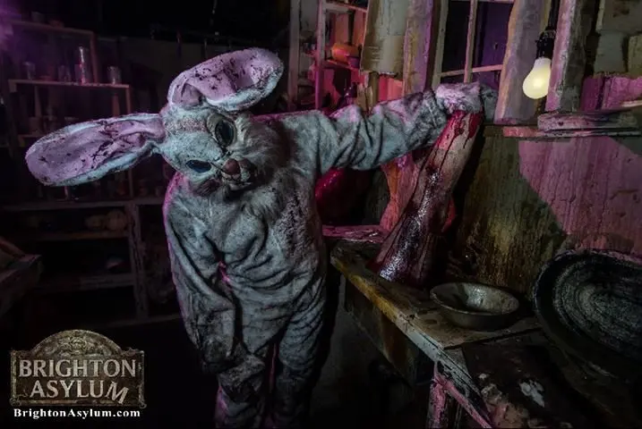 Don't Miss Out on Rottentail Slaughter - The Horror Easter Event at Brighton Asylum! photo