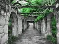 Hauntings in the Alamo City: San Antonio's Most Haunted Destinations