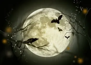 Celebrate the Heart of the Halloween Season with Some San Antonio Haunted Attractions!
