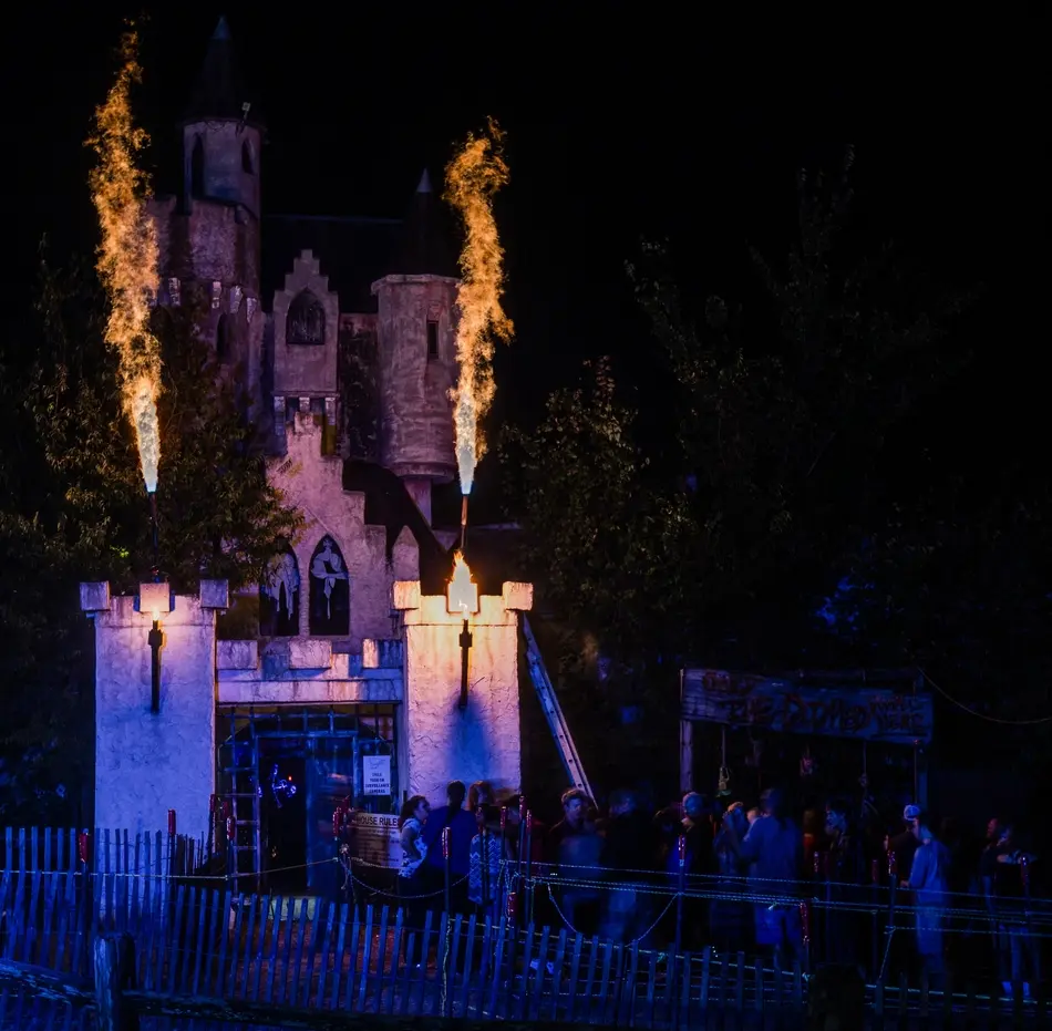 Cursed... The Witches of TerraMythica Castle