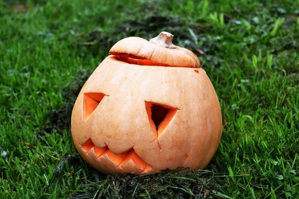 Don't Let the Post-Halloween Blues Get You Down!