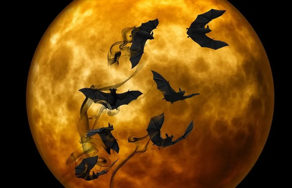 🎃 Utah Halloween Weekend Guide: September 26 - 29th 🎃 photo