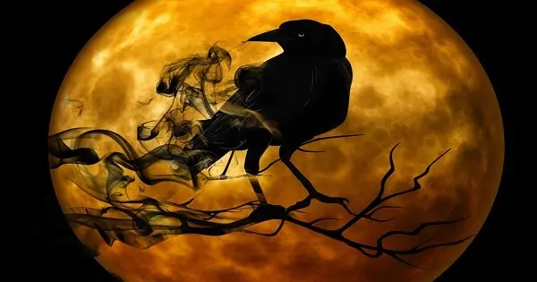 DCHauntedHouses.com | Check Out the Terrifying Fun Happening this Weekend in Washington DC! photo