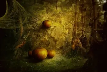 The Spooky Season is Getting Creepingly Close!